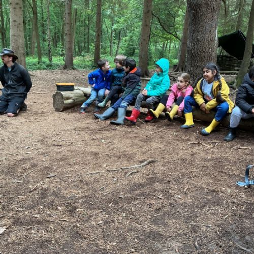Bush Craft and The Magic Tree